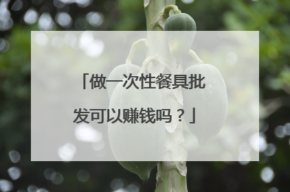 做一次性餐具批发可以赚钱吗?