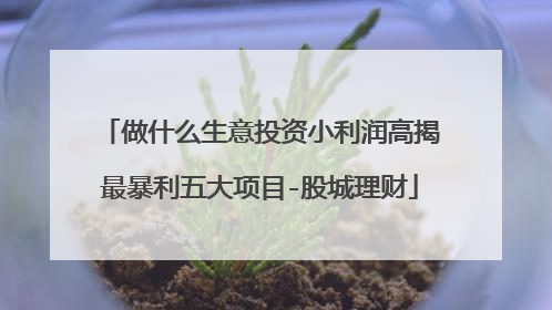 做什么生意投资小利润高揭最暴利五大项目-股城理财
