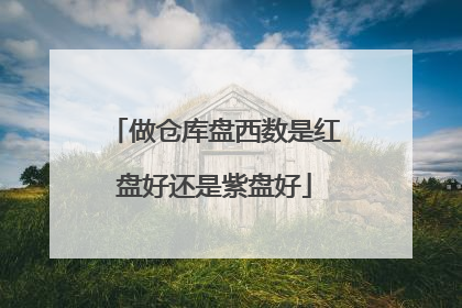 做仓库盘西数是红盘好还是紫盘好