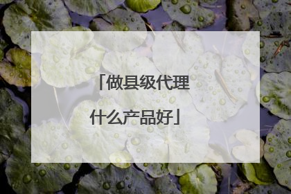 做县级代理什么产品好