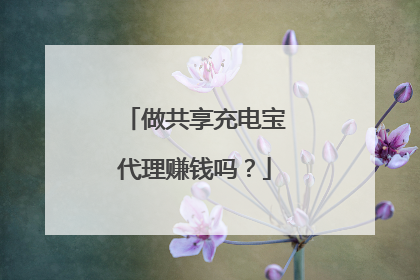 做共享充电宝代理赚钱吗？