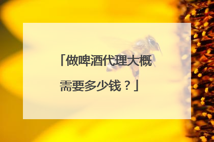 做啤酒代理大概需要多少钱？