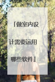 做室内设计需要运用哪些软件