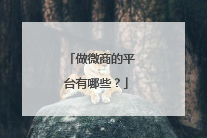 做微商的平台有哪些?