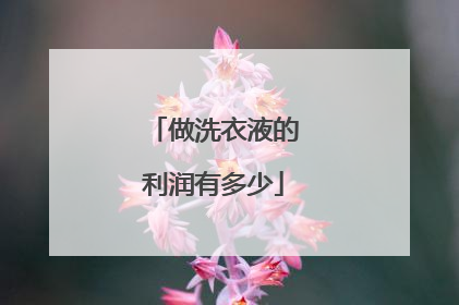 做洗衣液的利润有多少