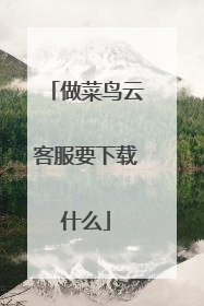 做菜鸟云客服要下载什么