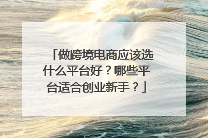 做跨境电商应该选什么平台好?哪些平台适合创业新手?