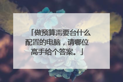 做预算需要台什么配置的电脑,请哪位高手给个答案。