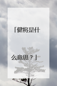 健将是什么意思？