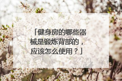 健身房的哪些器械是锻炼背部的,应该怎么使用?