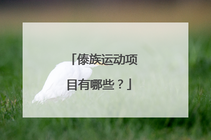 傣族运动项目有哪些？