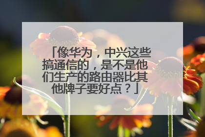 像华为，中兴这些搞通信的，是不是他们生产的路由器比其他牌子要好点？