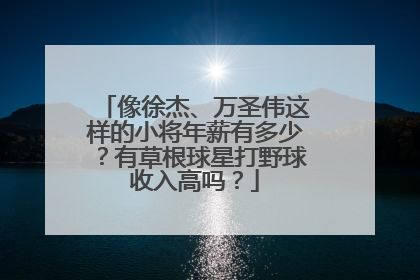 像徐杰、万圣伟这样的小将年薪有多少？有草根球星打野球收入高吗？
