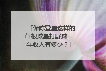 像陈登星这样的草根球星打野球一年收入有多少？