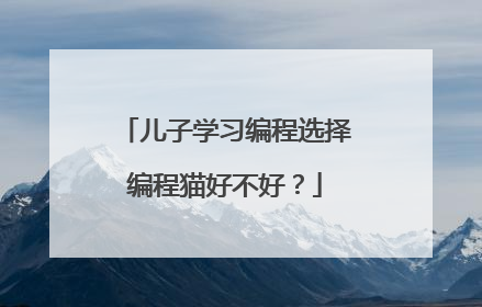 儿子学习编程选择编程猫好不好？