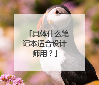 具体什么笔记本适合设计师用?