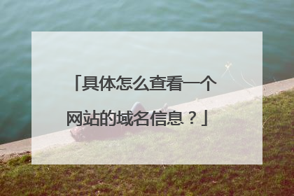 具体怎么查看一个网站的域名信息?
