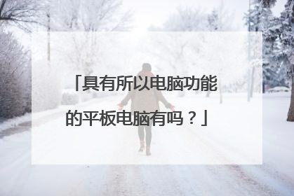 具有所以电脑功能的平板电脑有吗?