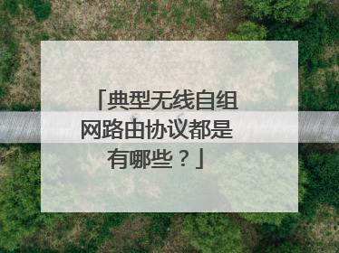 典型无线自组网路由协议都是有哪些?