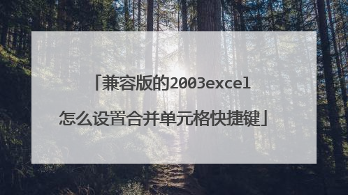 兼容版的2003excel怎么设置合并单元格快捷键
