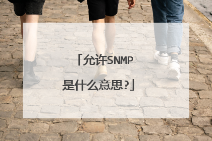 允许SNMP是什么意思?