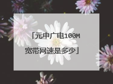 元申广电100M宽带网速是多少