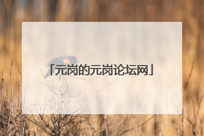 元岗的元岗论坛网