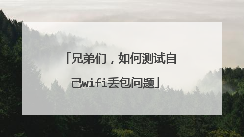 兄弟们，如何测试自己wifi丢包问题