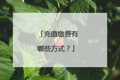 充值缴费有哪些方式?