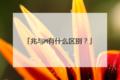 兆与M有什么区别?