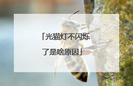 光猫灯不闪烁了是啥原因