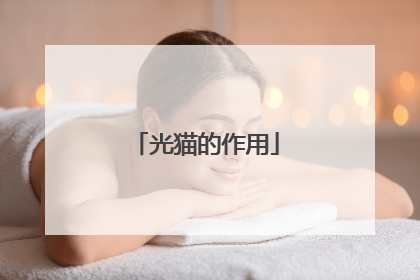 光猫的作用