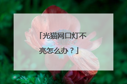 光猫网口灯不亮怎么办?