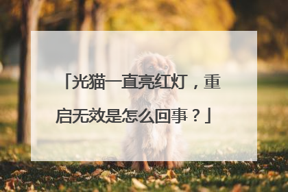 光猫一直亮红灯,重启无效是怎么回事?