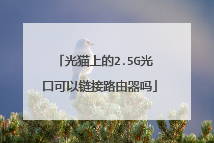 光猫上的2.5G光口可以链接路由器吗
