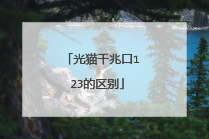 光猫千兆口123的区别