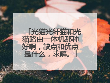 光猫光纤猫和光猫路由一体机那种好啊，缺点和优点是什么，求解。