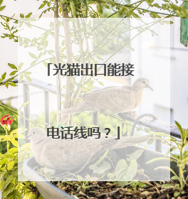 光猫出口能接电话线吗？