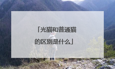 光猫和普通猫的区别是什么