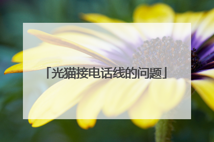 光猫接电话线的问题