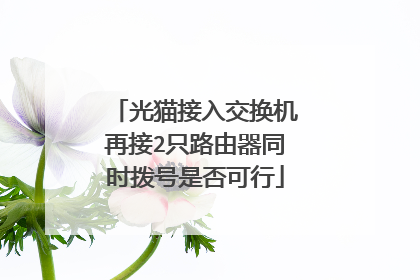 光猫接入交换机再接2只路由器同时拨号是否可行