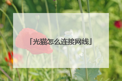 光猫怎么连接网线