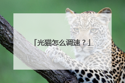 光猫怎么调速?