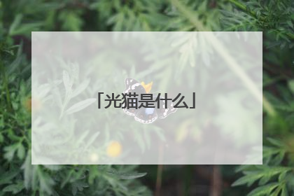 光猫是什么