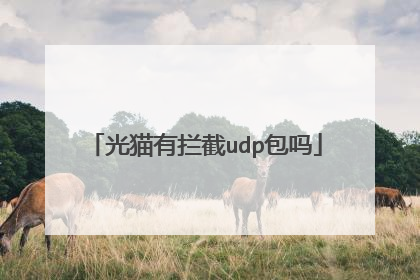 光猫有拦截udp包吗