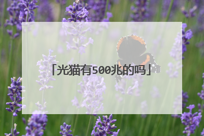 光猫有500兆的吗