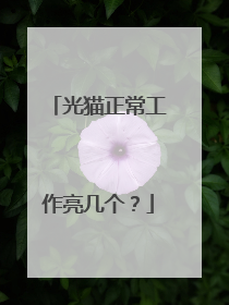 光猫正常工作亮几个？