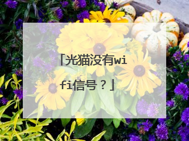 光猫没有wifi信号？