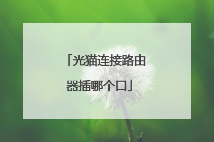 光猫连接路由器插哪个口