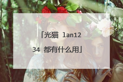 光猫 lan1234 都有什么用